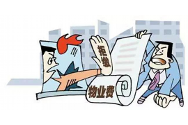 泌阳专业讨债公司，追讨消失的老赖