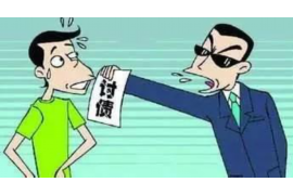 泌阳专业讨债公司有哪些核心服务？